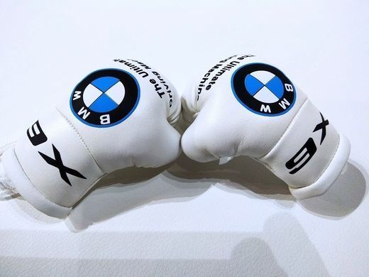 Комплект аксессуаров салона Автомобильная подушка BMW X6