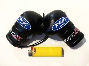 Подвеска боксерские перчатки Ford