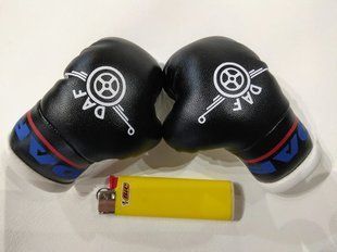 Подвеска боксерские перчатки DAF