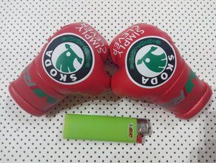 Подвеска боксерские перчатки Skoda