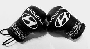 Підвіска боксерські рукавички Hyundai