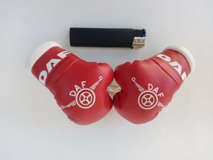 Подвеска боксерские перчатки DAF