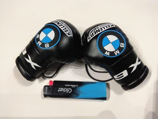 Комплект аксессуаров салона Автомобильная подушка BMW X6